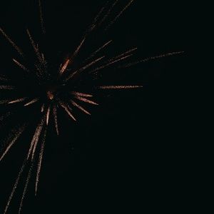 Meet your Posher, Connie